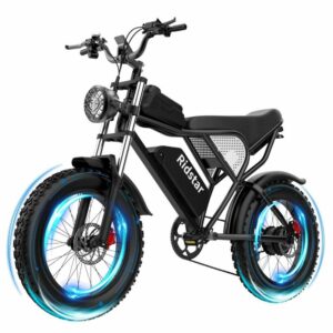 Ridstar Q20 Electric Bike 1000W